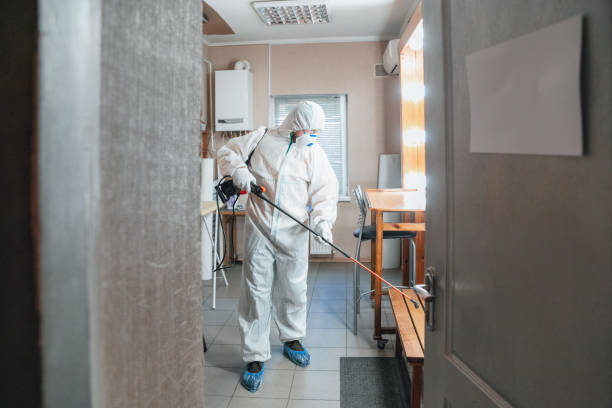 Reliable East Franklin, NJ Mold Removal Solutions